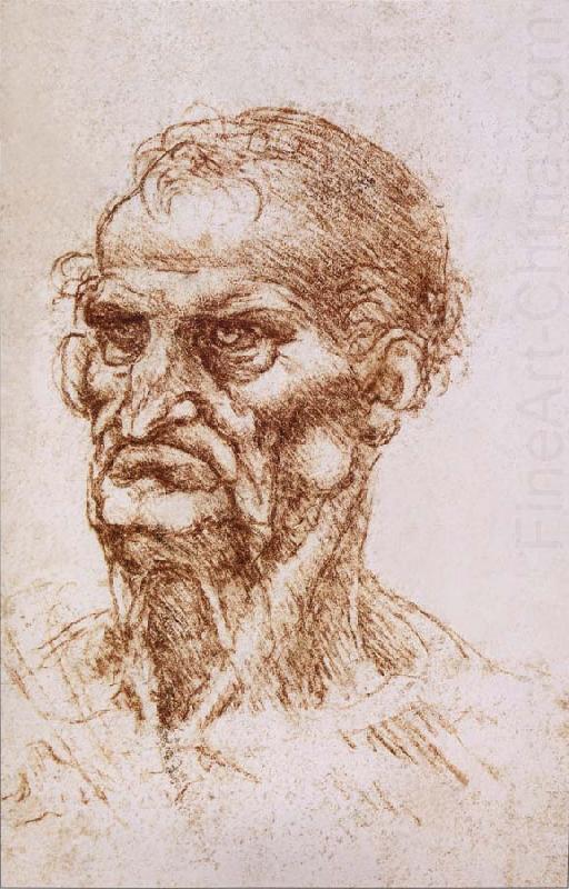 LEONARDO da Vinci Study of an old man china oil painting image